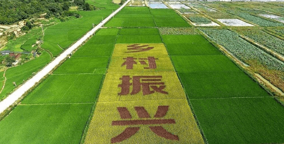 人民日?qǐng)?bào)&ldquo;鄉(xiāng)村振興計(jì)劃&rdquo;為何看上他？_直播_行業(yè)_農(nóng)產(chǎn)品